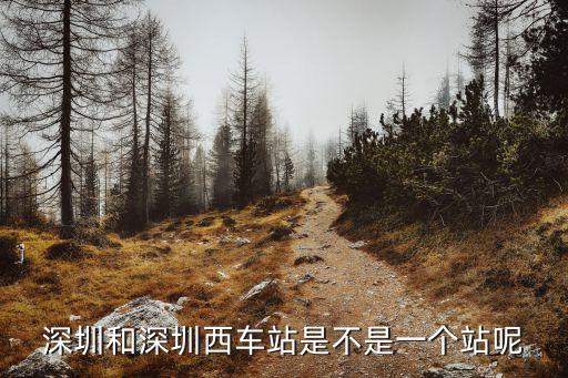 深圳和深圳西車站是不是一個站呢