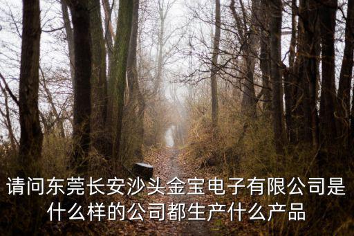 請問東莞長安沙頭金寶電子有限公司是什么樣的公司都生產什么產品