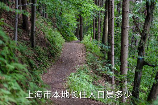 上海市本地長住人口是多少