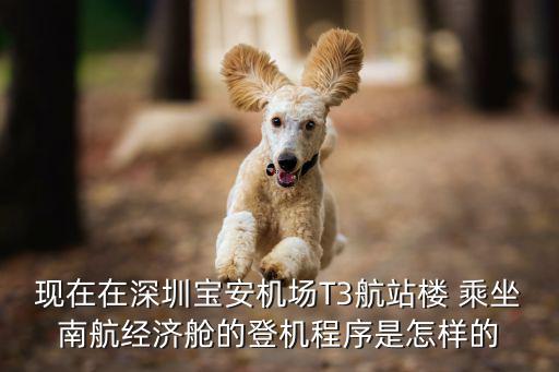 深圳t3南航，深圳T3航站樓南航是幾號門出發