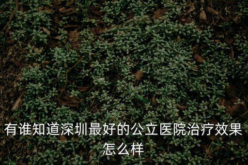 有誰知道深圳最好的公立醫院治療效果怎么樣