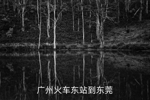 廣州火車東站到東莞