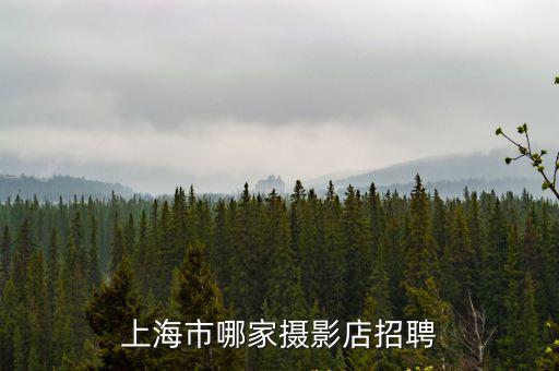 上海市哪家攝影店招聘