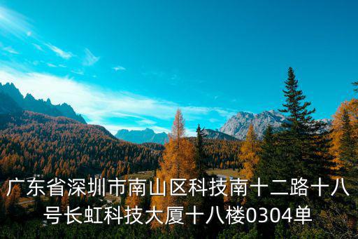 廣東省深圳市南山區科技南十二路十八號長虹科技大廈十八樓0304單