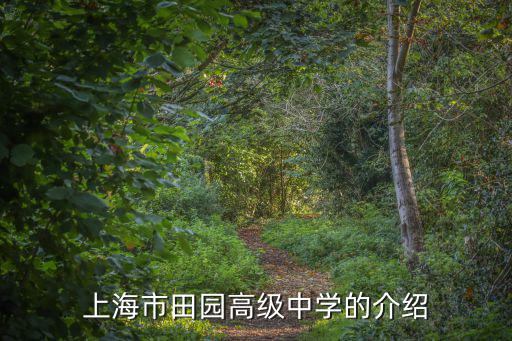 上海市田園高級中學的介紹