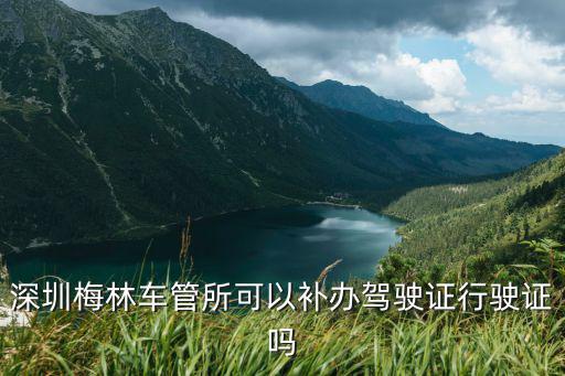 深圳梅林車管所可以補辦駕駛證行駛證嗎