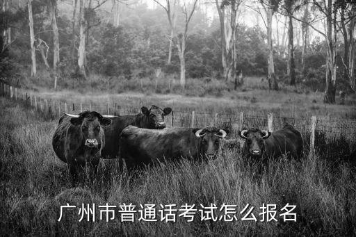 廣州市普通話考試怎么報(bào)名