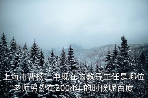 上海市曹楊二中現(xiàn)在的教導(dǎo)主任是哪位老師另外在2004年的時候呢百度
