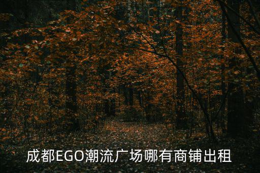 成都EGO潮流廣場哪有商鋪出租