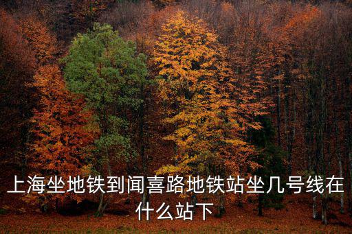 上海市閘北區(qū)聞喜路，上海閘北區(qū)勞動就業(yè)服務中心地址
