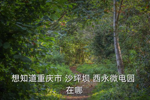 想知道重慶市 沙坪壩 西永微電園 在哪