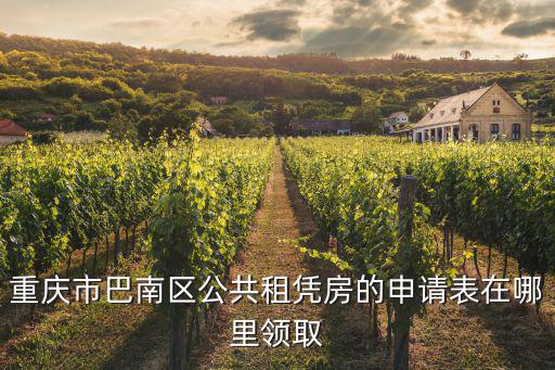 重慶市巴南區(qū)公共租憑房的申請表在哪里領(lǐng)取