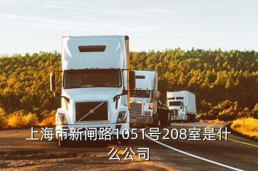 上海市新閘路1051號208室是什么公司