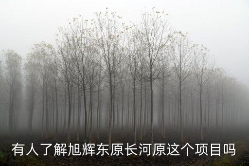重慶市大渡口旭輝東原長河，有人了解旭輝東原長河原這個項目嗎