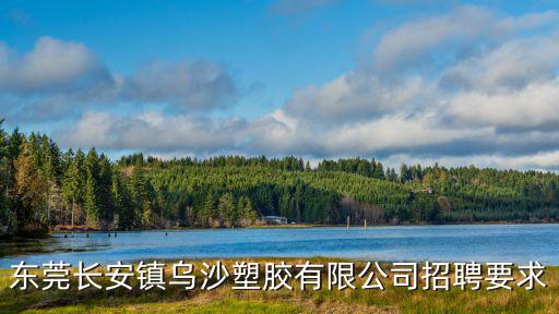 東莞長安鎮烏沙塑膠有限公司招聘要求