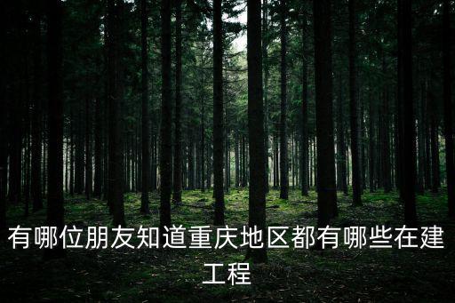 有哪位朋友知道重慶地區都有哪些在建工程
