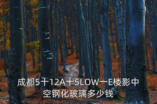 成都5十12A十5LOW一E樓影中空鋼化玻璃多少錢