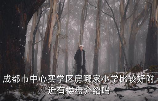 成都市中心買(mǎi)學(xué)區(qū)房哪家小學(xué)比較好附近有樓盤(pán)介紹嗎