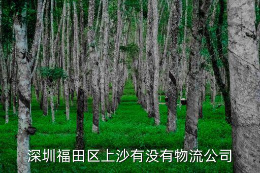 深圳鑫宏通物流，深圳龍崗區(qū)龍崗鎮(zhèn)南聯(lián)有什么物流雙龍?zhí)旌缗赃呌惺裁次锪髁x烏小