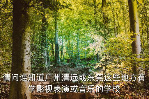 請問誰知道廣州清遠或東莞這些地方有學影視表演或音樂的學校