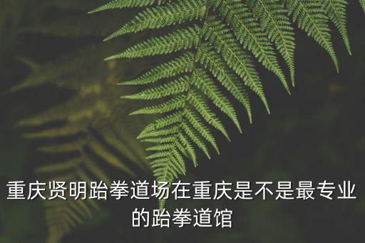 重慶賢明跆拳道場在重慶是不是最專業(yè)的跆拳道館