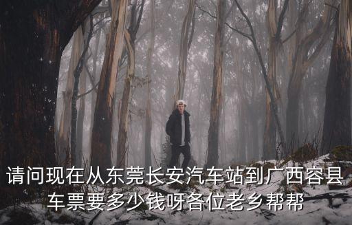 東莞長安早上回容縣，東莞到容縣幾點鐘有車回