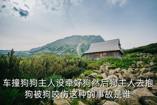 車撞狗狗主人沒牽好狗然后狗主人去抱狗被狗咬傷這種的事故是誰