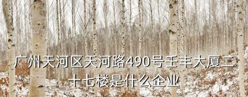 廣州天河區(qū)天河路490號(hào)壬豐大廈二十七樓是什么企業(yè)