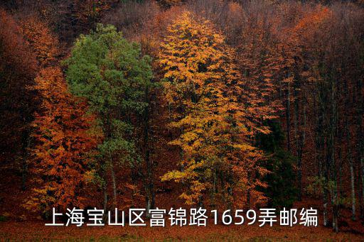 上海寶山區富錦路1659弄郵編