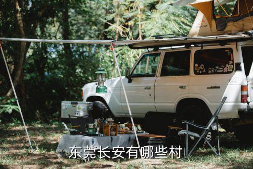 東莞長安有哪些村