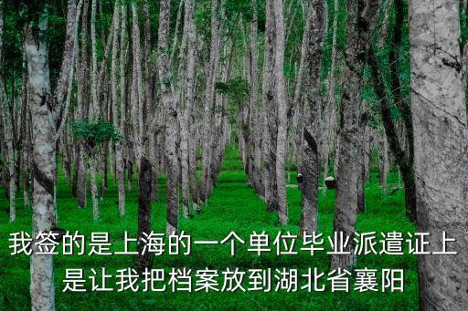 我簽的是上海的一個單位畢業(yè)派遣證上是讓我把檔案放到湖北省襄陽