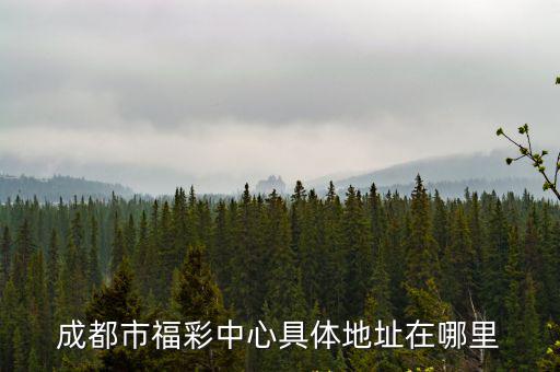 成都市撫琴東北路三號，想知道成都市 撫琴東北路 在哪