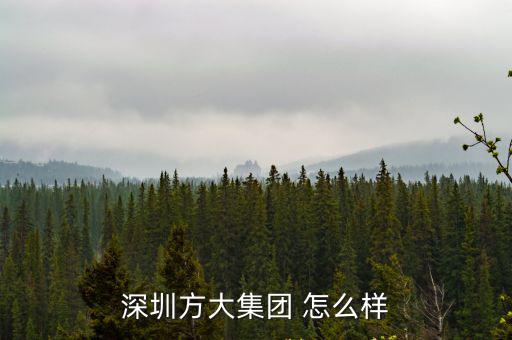 深圳方大集團 怎么樣