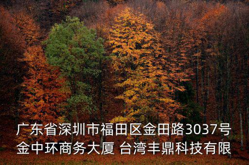 廣東省深圳市福田區(qū)金田路3037號金中環(huán)商務大廈 臺灣豐鼎科技有限