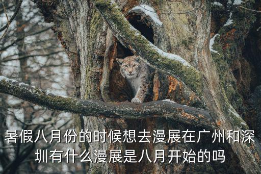 暑假八月份的時(shí)候想去漫展在廣州和深圳有什么漫展是八月開始的嗎