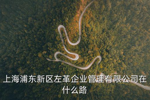 上海浦東新區(qū)左革企業(yè)管理有限公司在什么路