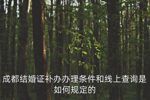 成都市民政局注冊，成都民證局在哪