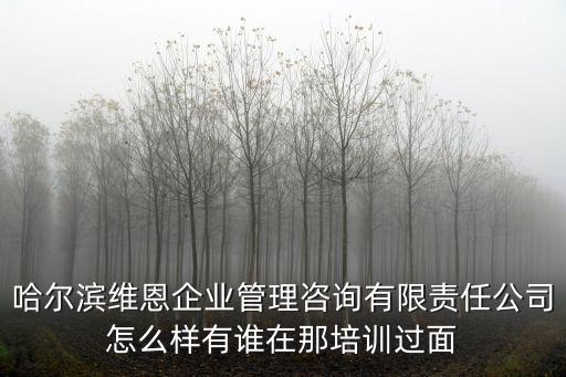 哈爾濱維恩企業(yè)管理咨詢有限責(zé)任公司怎么樣有誰在那培訓(xùn)過面