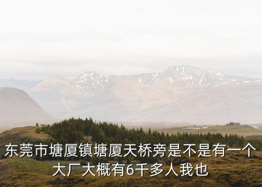 東莞市塘廈鎮塘廈天橋旁是不是有一個大廠大概有6千多人我也