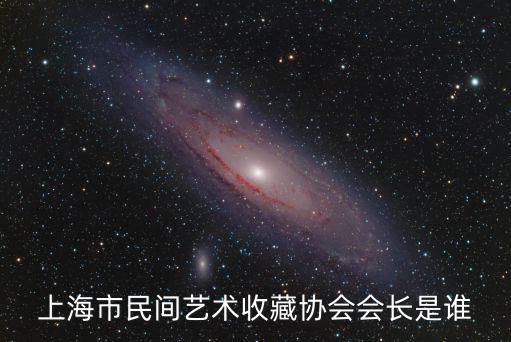 上海市民間藝術收藏協會會長是誰