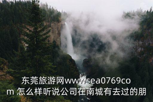 東莞旅游網wwwsea0769com 怎么樣聽說公司在南城有去過的朋