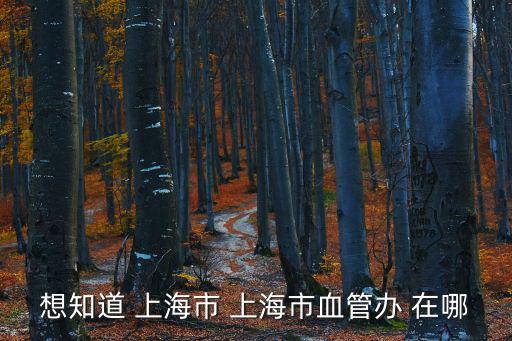想知道 上海市 上海市血管辦 在哪
