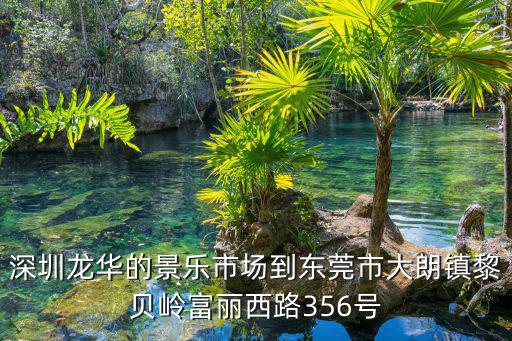 深圳龍華的景樂市場到東莞市大朗鎮黎貝嶺富麗西路356號