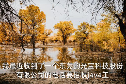 東莞暢網科技有限公司招聘，我最近收到了一個東莞的光寶科技股份有限公司的電話要招收java工