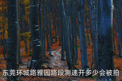 東莞環(huán)城路雅園路段測(cè)速開多少會(huì)被拍