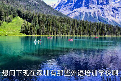 想問下現在深圳有那些外語培訓學校啊