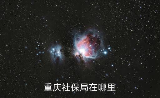 重慶社保局在哪里