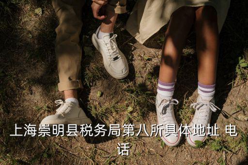 上海崇明縣稅務(wù)局第八所具體地址 電話