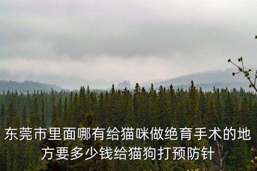 東莞市里面哪有給貓咪做絕育手術的地方要多少錢給貓狗打預防針