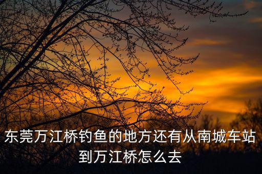 東莞萬江橋釣魚的地方還有從南城車站到萬江橋怎么去